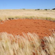 Illustration for article titled After 15 Years of Study, a New Theory of What Causes Fairy Circles